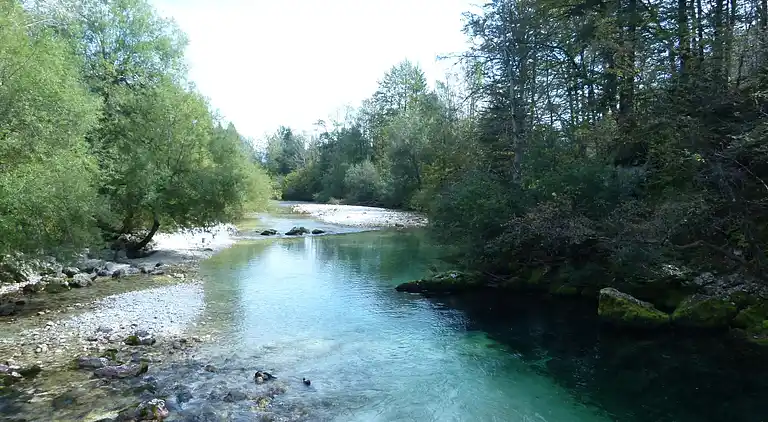 Appartement in Bohinjska Bistrica