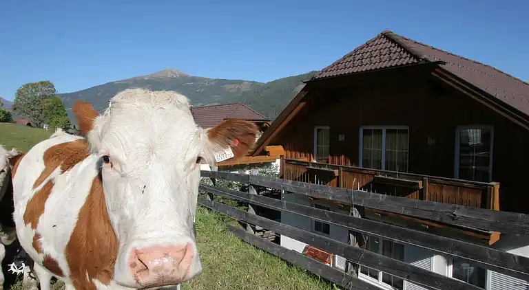 Cottage in Sankt Margarethen im Lungau
