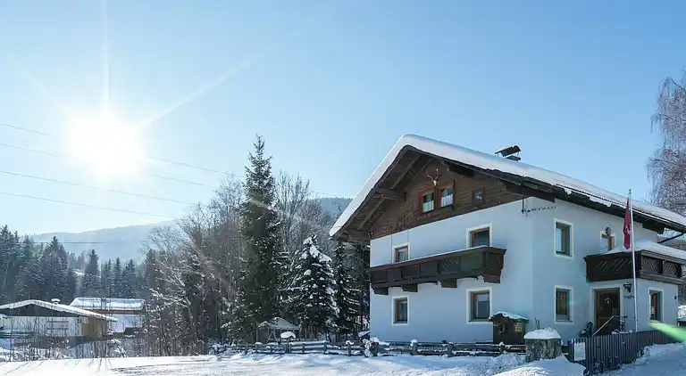 Apartment in Forstau