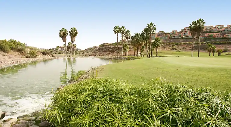 Villa i Las Crucitas