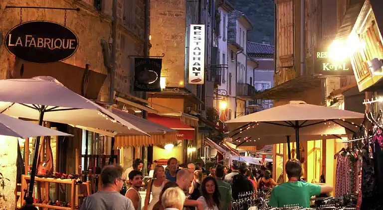 Vakantiehuis in Montselgues