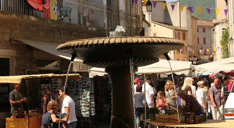 Vakantiehuis in Montselgues