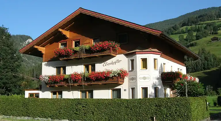 Apartment in Wald im Pinzgau