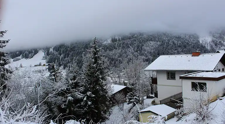 Holiday home in Radenthein