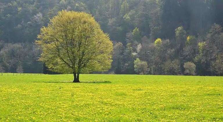 Holiday home in Houffalize