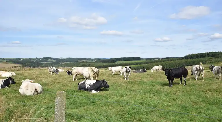 Holiday home in Europe