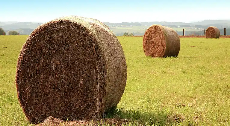 Holiday home in Durbuy