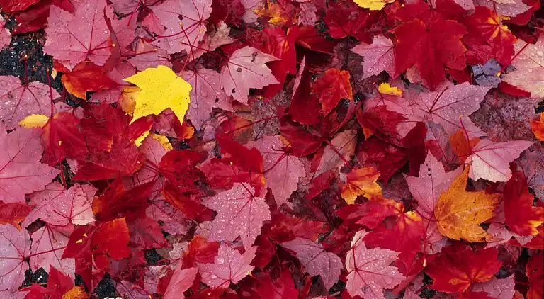 Holiday home in Durbuy