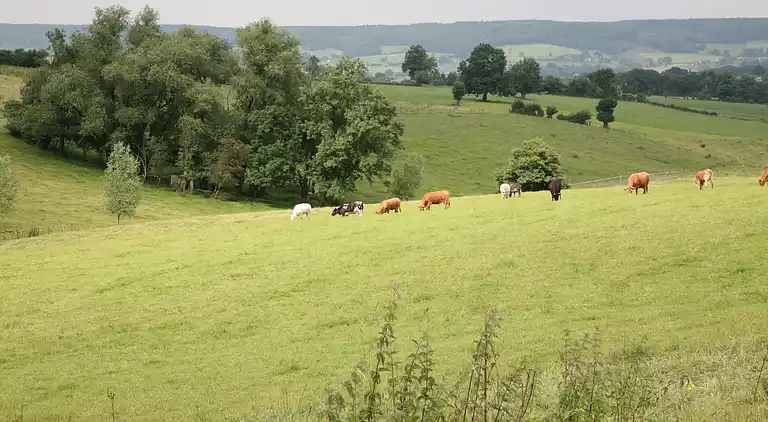 Holiday home in Europe