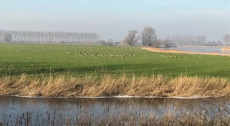 Herregård i Sint-Jan-in-Eremo