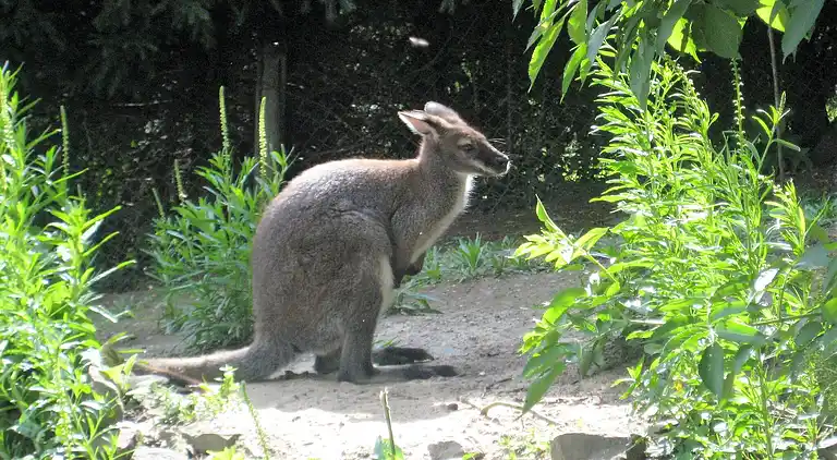 Sommerhus i Zehnhausen bei Rennerod