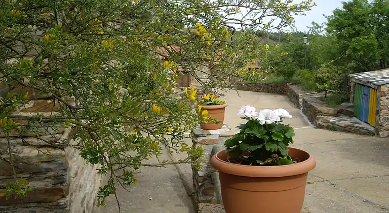 Holiday home in Valencia de Alcántara