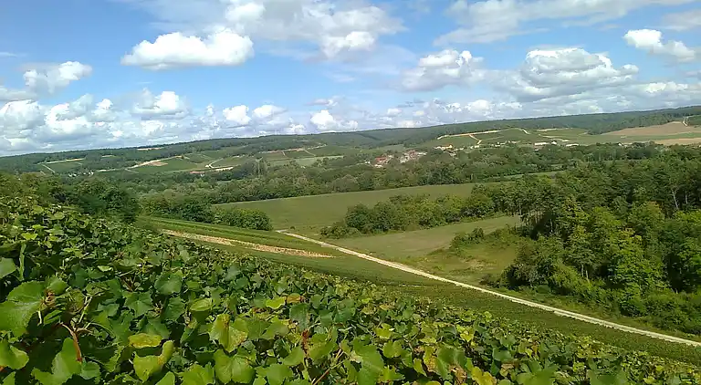 Holiday home in Vendeuvre-sur-Barse