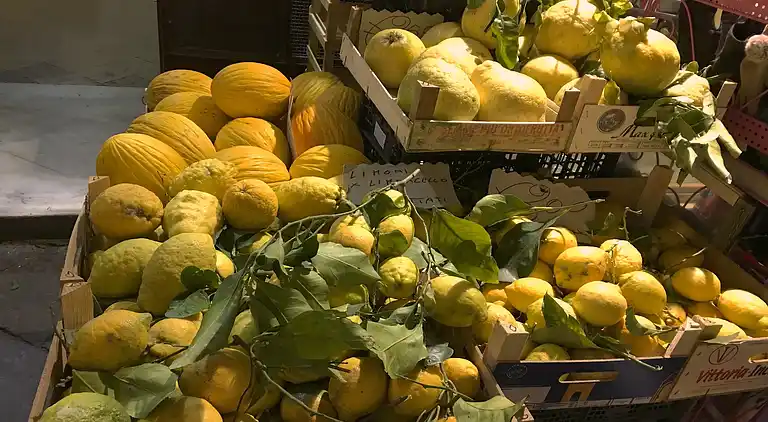 Semesterbostad i Trecase