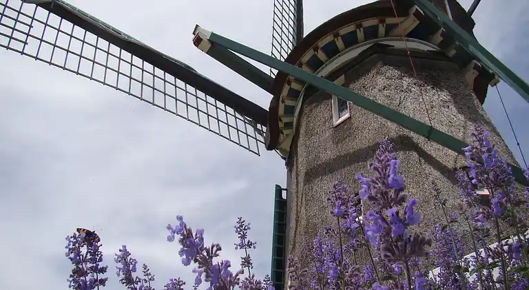 Sommerhus i Middenbeemster