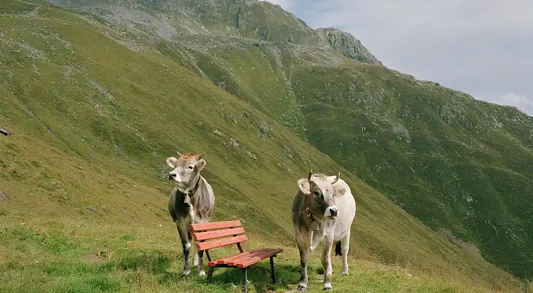 Apartment in Grafenweg