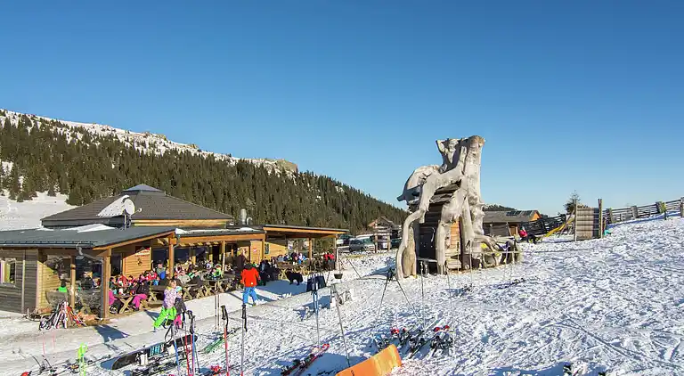 Sommerhus i Weinebene