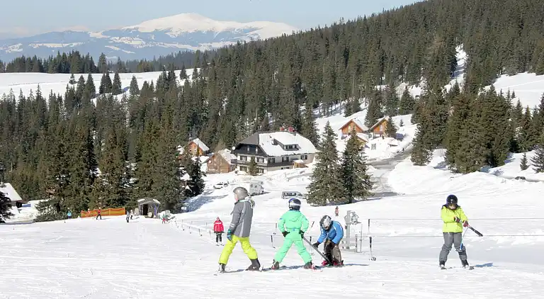 Sommerhus i Weinebene