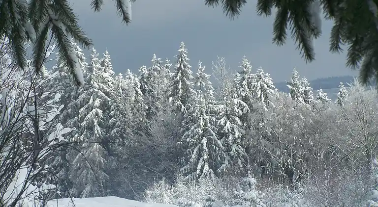 Cottage in La Gleize