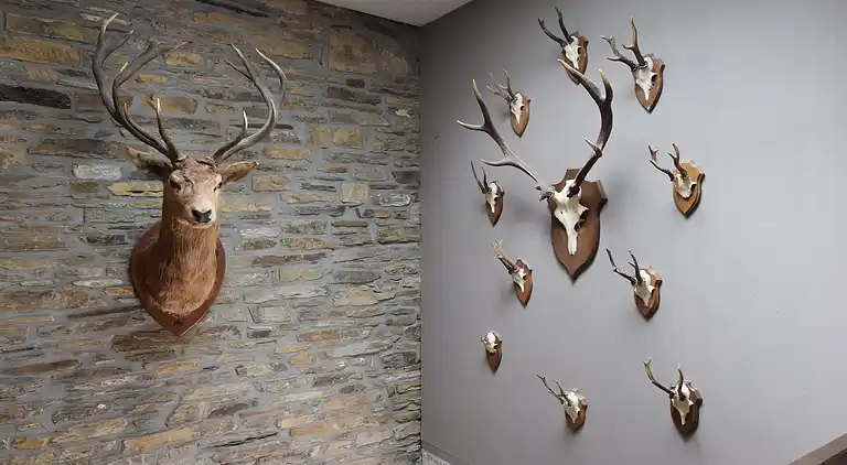 Farm house in Lavacherie