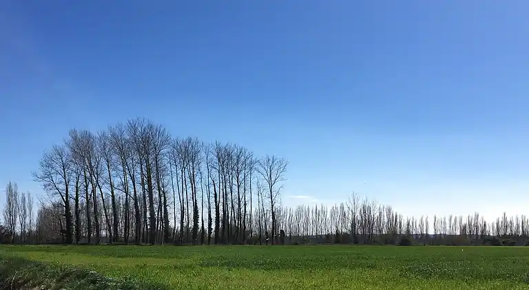 Semesterbostad i L'Escala