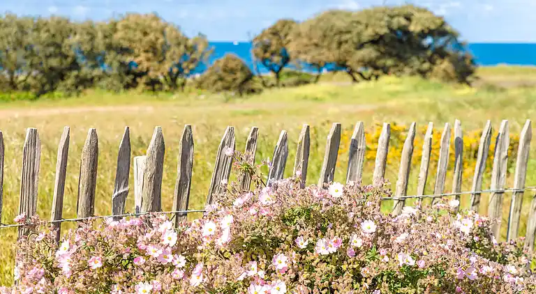 Ferielejlighed i Château-d'Olonne