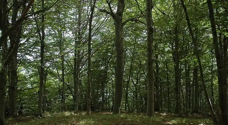 Sommerhus i Vezzi Portio