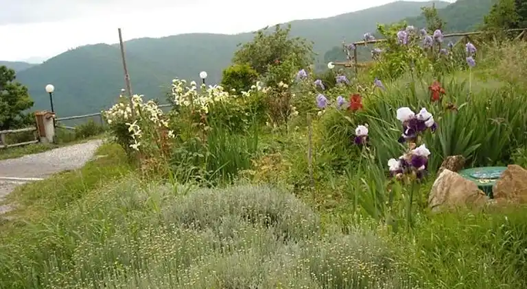 Sommerhus i Vezzi Portio