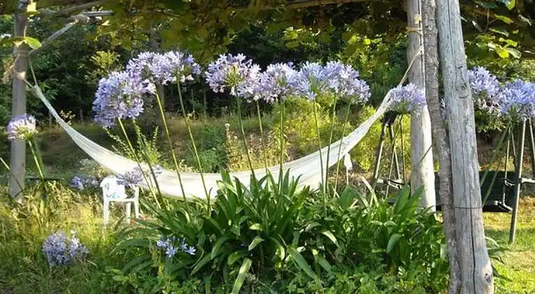 Sommerhus i Vezzi Portio