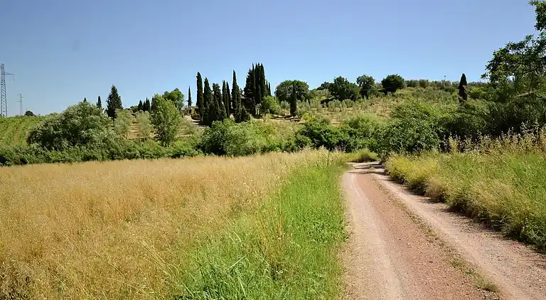 Holiday home in Montecastelli Pisano