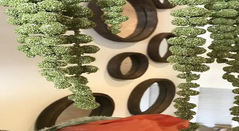 Ferielejlighed i Dénia