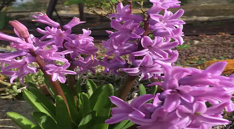 Holiday home in Faucon