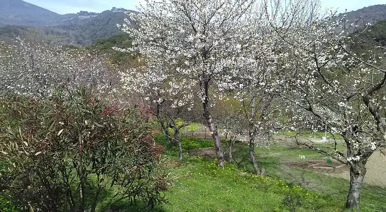 Holiday home in Chiatra