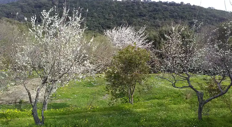 Holiday home in Chiatra