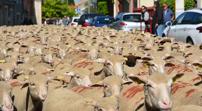 Casa de vacaciones en Uzès