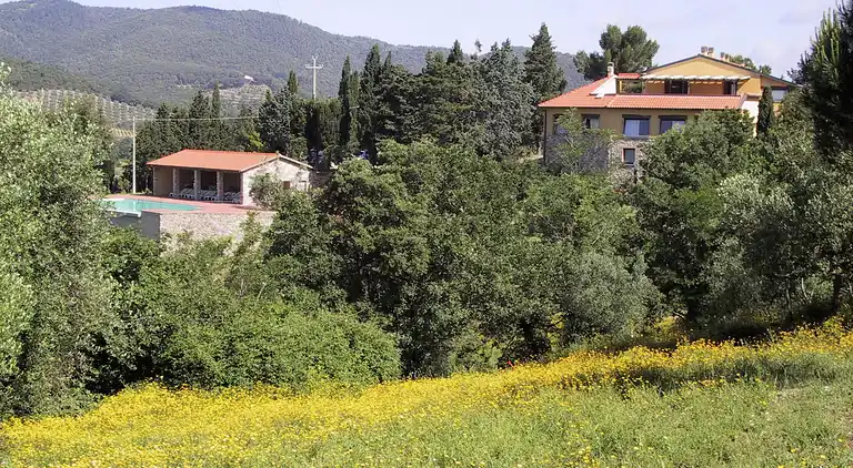 Holiday home in Suvereto