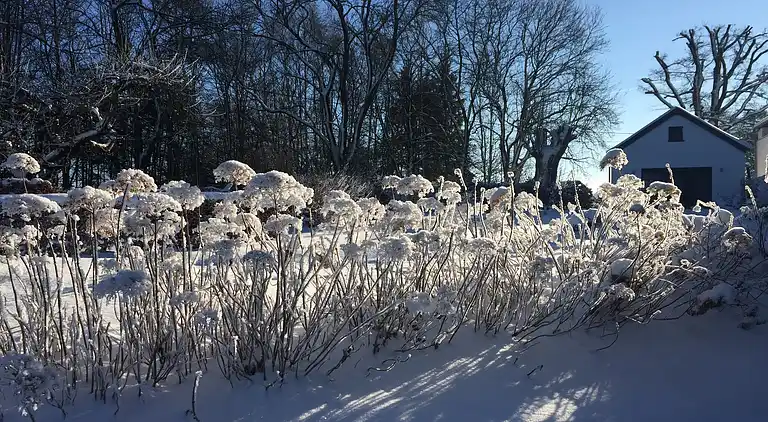 Holiday home in Amel