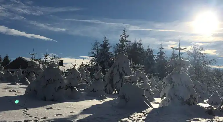 Holiday home in Amel