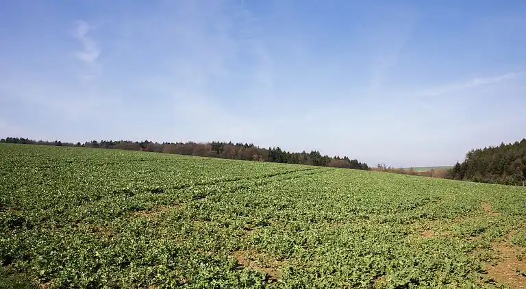 Ferielejlighed i Buch