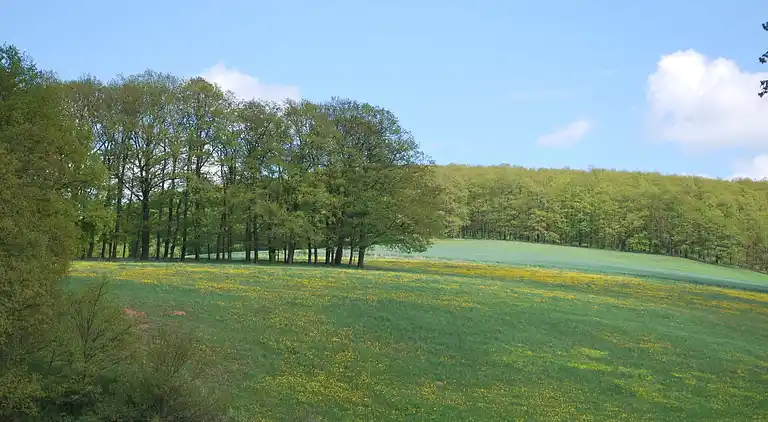 Ferielejlighed i Hamma