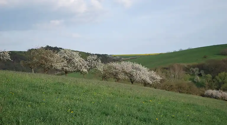 Ferielejlighed i Hamma