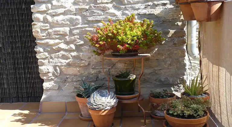 Cottage in Castigaleu