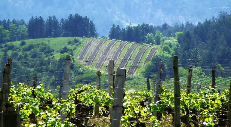 Sommerhus i Saint-Donat-sur-l'Herbasse