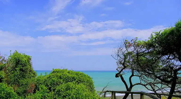 Gårdhus i Montescudaio