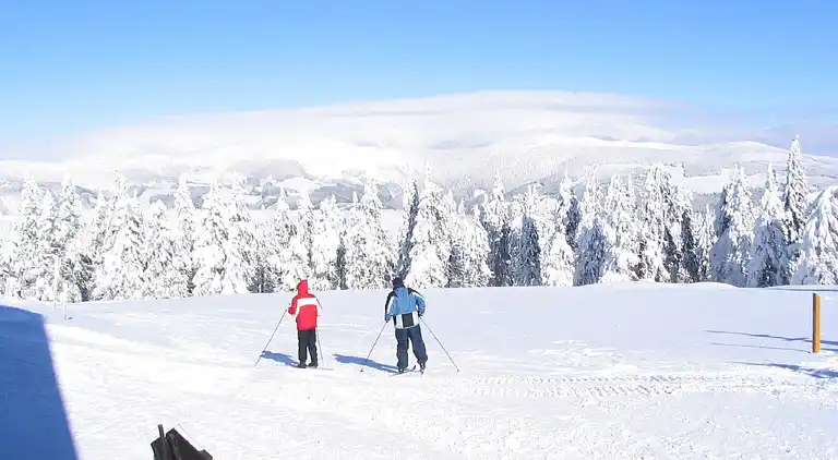 Sommerhus i Rtyně v Podkrkonoší