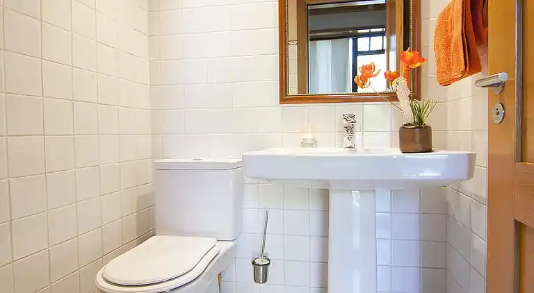 Herregård i Vielha e Mijaran