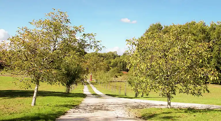 Sommerhus i Saint-Géry
