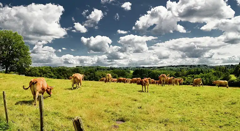 Sommerhus i Saint-Géry
