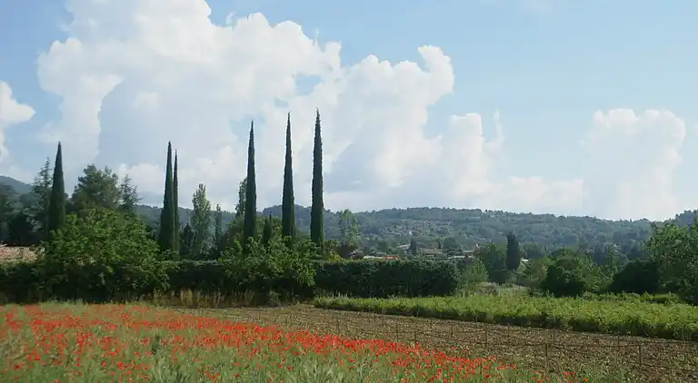 Holiday home in Fayence