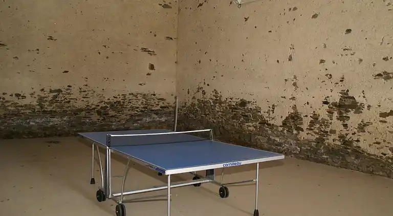 Ferienhaus in L'Herbergement